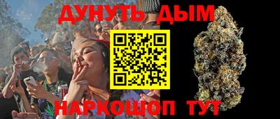 индика Берёзовский