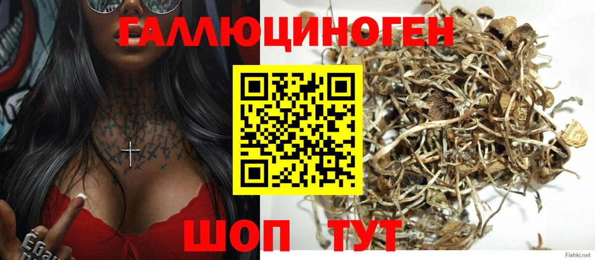 Псилоцибиновые грибы мицелий  Галлюциногенные грибы MAGIC MUSHROOMS  Камышин  наркотики  Вход с VPN 
